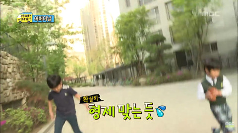 나이 차이 많이 나는 남매&자매 집 특징.jpg | 인스티즈