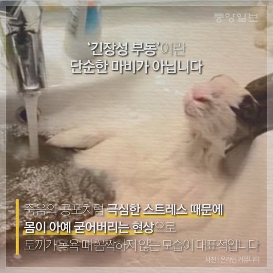  알고나면 진짜 무서운 남녀 힘 차이 | 인스티즈