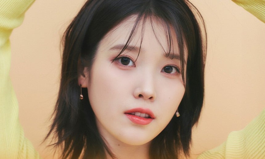 아이유, 극우 '좌파 아이유' 조롱에 "감당해야 할 부분” | 인스티즈