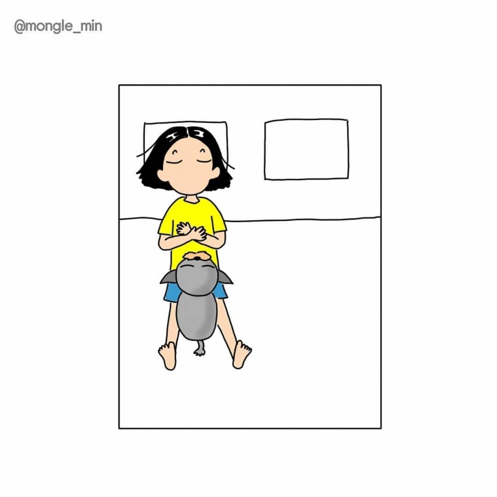 강아지랑 같이 잘 때 공감 | 인스티즈