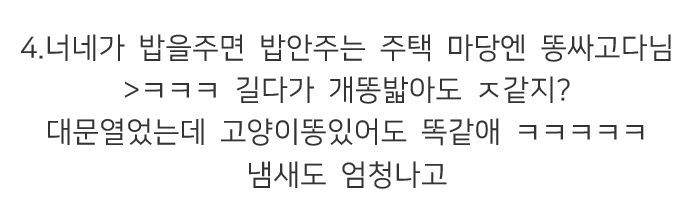 캣맘, 캣대디가 길고양이 먹이 주고 나면 생기는 일.jpg | 인스티즈