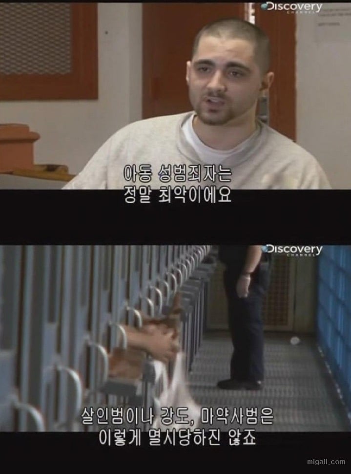 미국 교도소에 아동성범죄자가 들어가면 생기는일 | 인스티즈