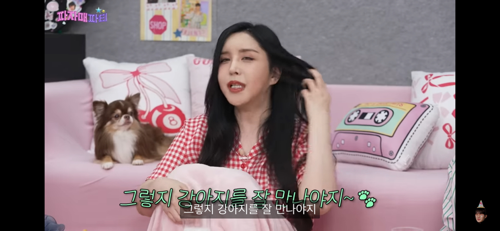 스우파 모니카쌤 반려견이 시댁에 있는이유 | 인스티즈