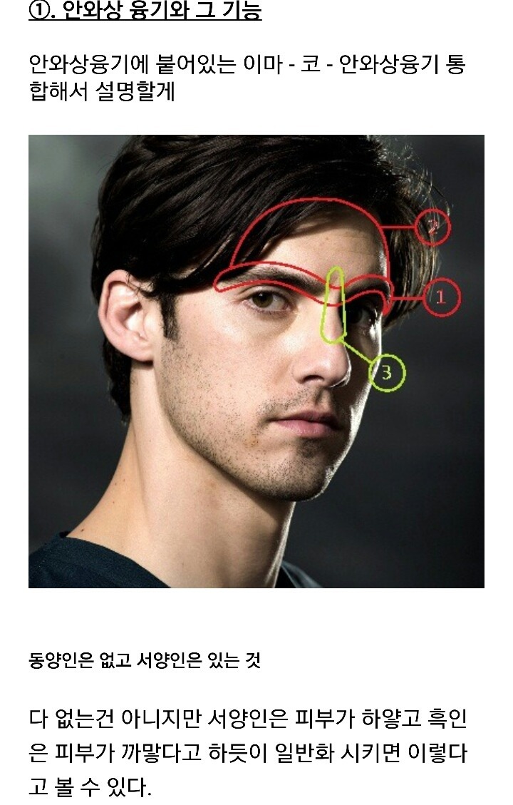 잘생긴 남자의 필요조건 '안와상융기' | 인스티즈