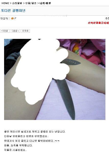 게시물 당 평균 조회수 20만에 육박하는 소라넷의 게시물 (혐오주의) | 인스티즈