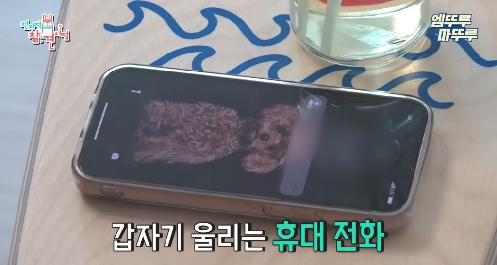 찐 ISFP라는 엄현경의 귀찮음 | 인스티즈