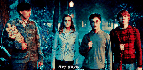 양덕들 정말 지독하다고 느낀 해리포터 비공식 커플 | 인스티즈