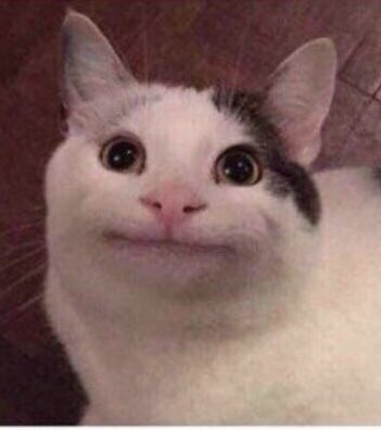 사실 재밌는 T와 F의 위로 방식 | 인스티즈