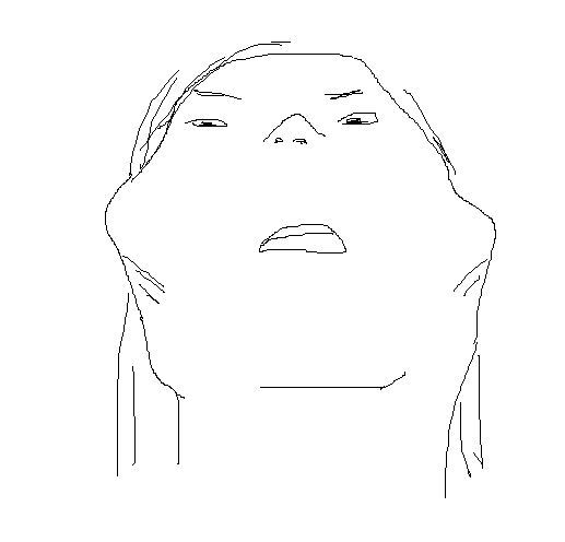 광대있는 여자의 삶.jpg | 인스티즈