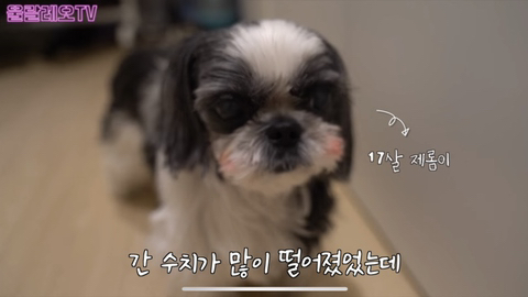 채정안이 20년째 먹고 있는 영양제 추천(No PPL) | 인스티즈