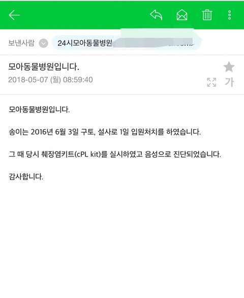 강아지파스타를 먹고 다음날 장애견 판정받았습니다 | 인스티즈