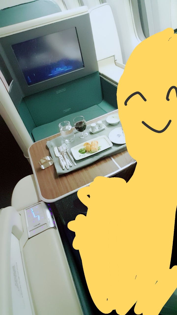 비행기 날짜 잘못알아서 퍼스트클래스 산 최종 후기 | 인스티즈