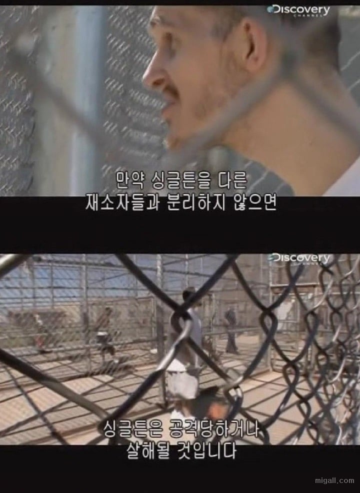 미국 교도소에 아동성범죄자가 들어가면 생기는일 | 인스티즈