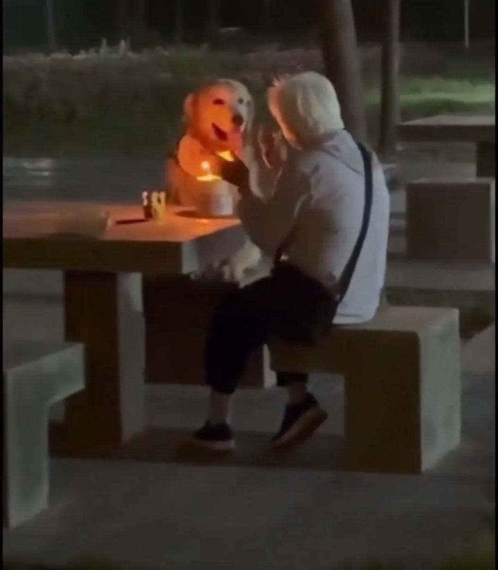 강아지 생파해주는 할머니 | 인스티즈