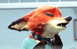 주토피아 초기 설정의 닉.gif (코피퐝주의) | 인스티즈