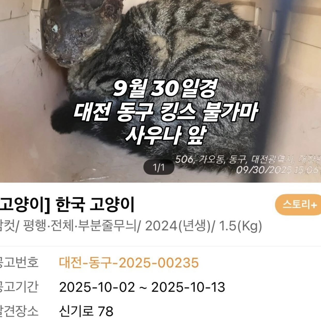 현재 사례금 500만원 걸린 사건(사진 주의) | 인스티즈