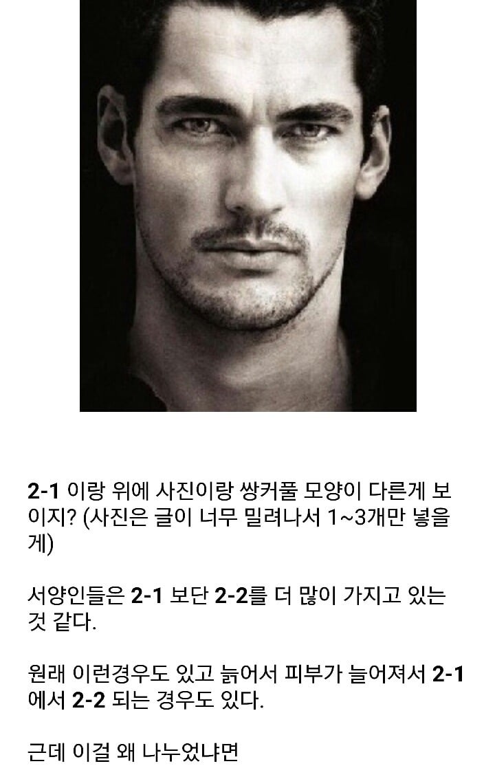 잘생긴 남자의 필요조건 '안와상융기' | 인스티즈