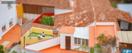 윤식당2 카메라촬영수준 | 인스티즈