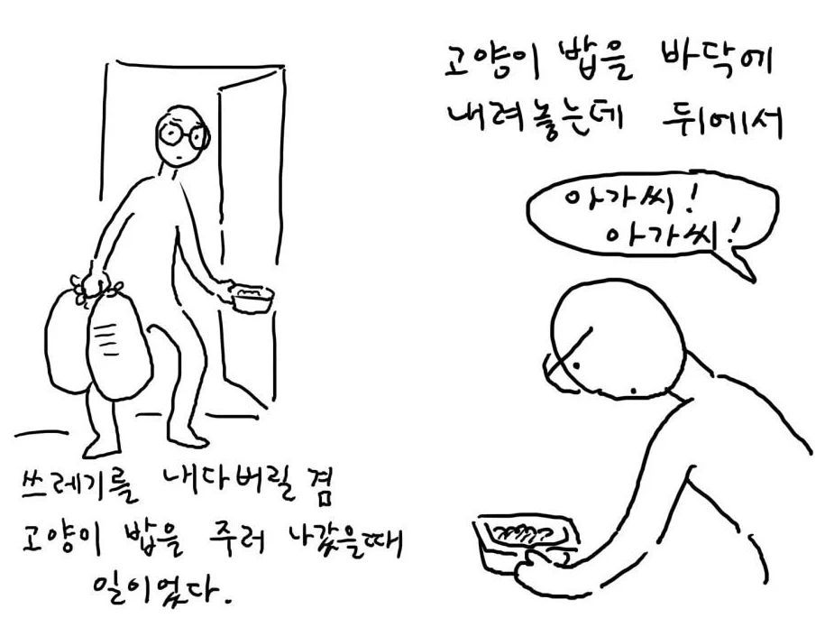 캣맘, 캣대디가 길고양이 먹이 주고 나면 생기는 일.jpg | 인스티즈