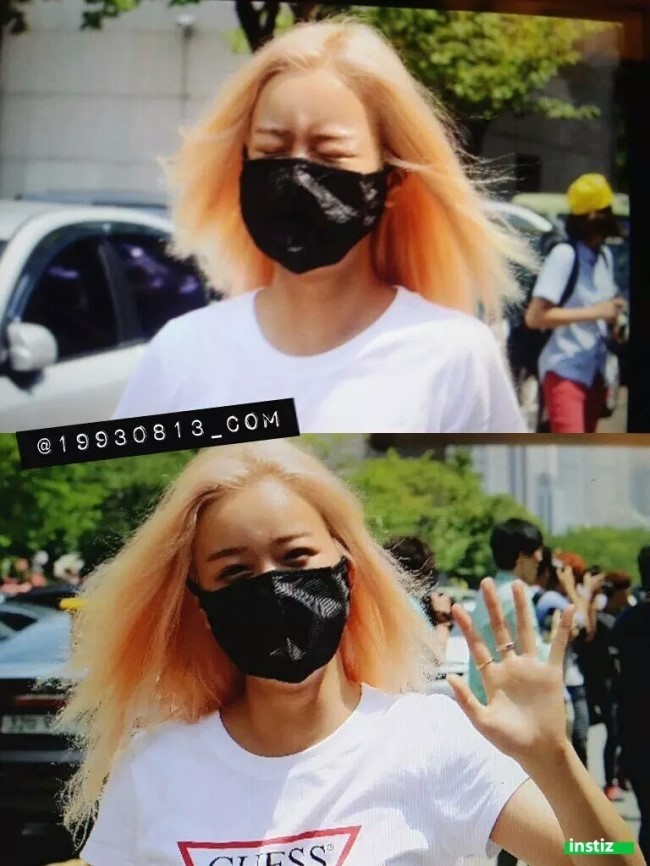 보기만해도 아파보이는 머릿결 모음.jpg | 인스티즈