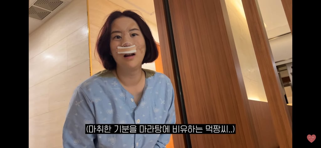 유혜주 유튜브에 등장한 코성형 브이로그 | 인스티즈