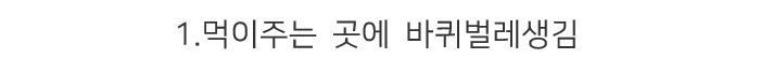 캣맘, 캣대디가 길고양이 먹이 주고 나면 생기는 일.jpg | 인스티즈