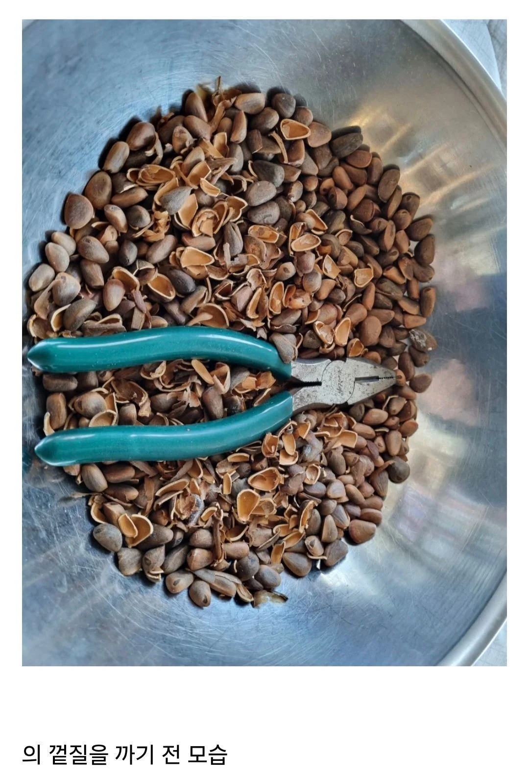 잣이 은근히 비싼 이유 | 인스티즈