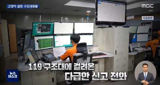 "힘내"...고양이 살린 세손가락 심폐소생술 | 인스티즈