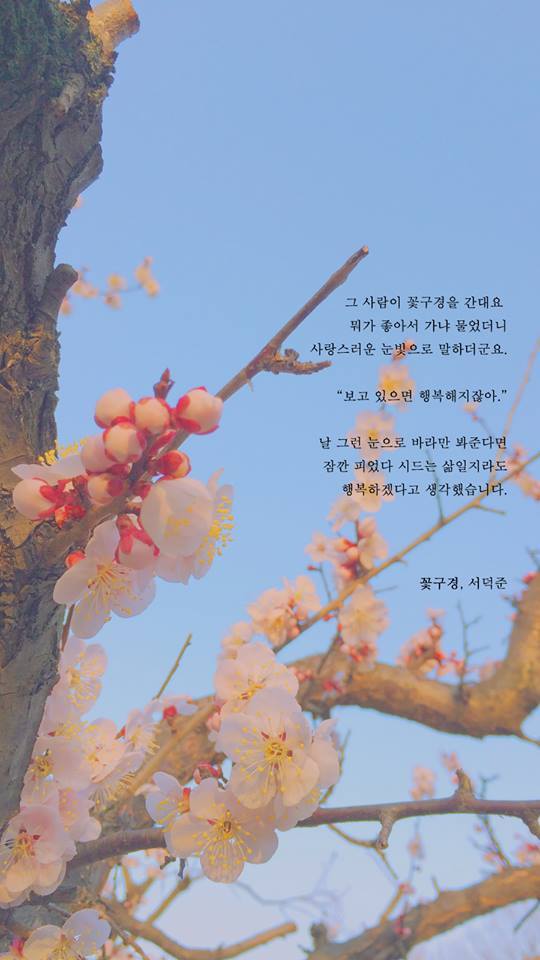 예쁜 시 구절이 적힌 폰배경화면 열네 번째.jpg | 인스티즈