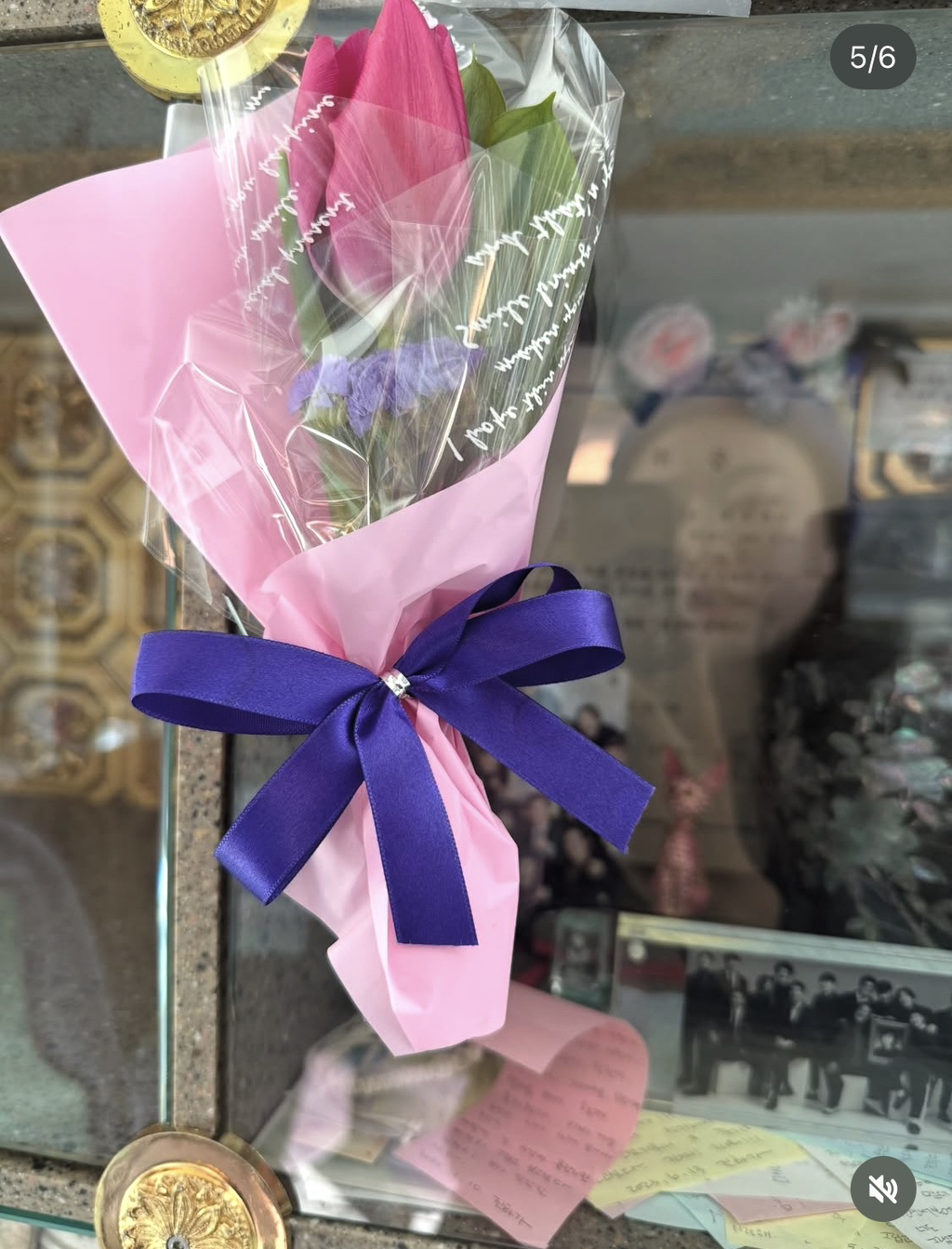 심진화가 故김형은 부모님 챙기는 이유 (+ 오늘 인스타글) | 인스티즈