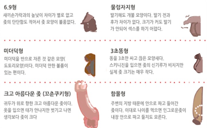 남자 성기형 종류 | 인스티즈