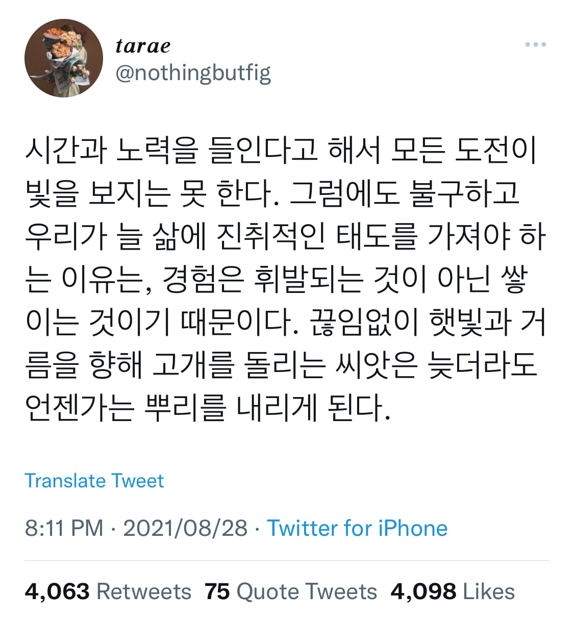 ✨️🌟 갓생에 도움되는 것들 추천!! / 좋은 습관 | 인스티즈