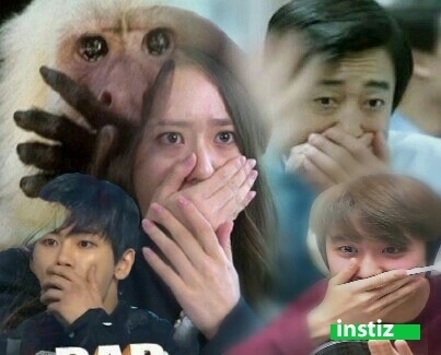 좀 충격적인 젤리에 들어간 당류 | 인스티즈