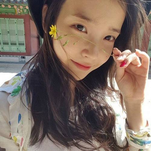 아이유의 노력 | 인스티즈