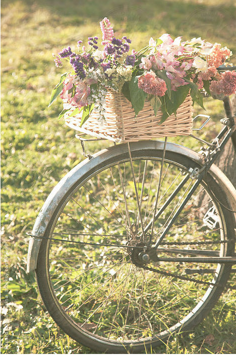 너는 내가 읽은 가장 아름다운 구절이다 | 인스티즈