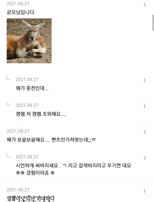 1년 전 죠캎 | 인스티즈