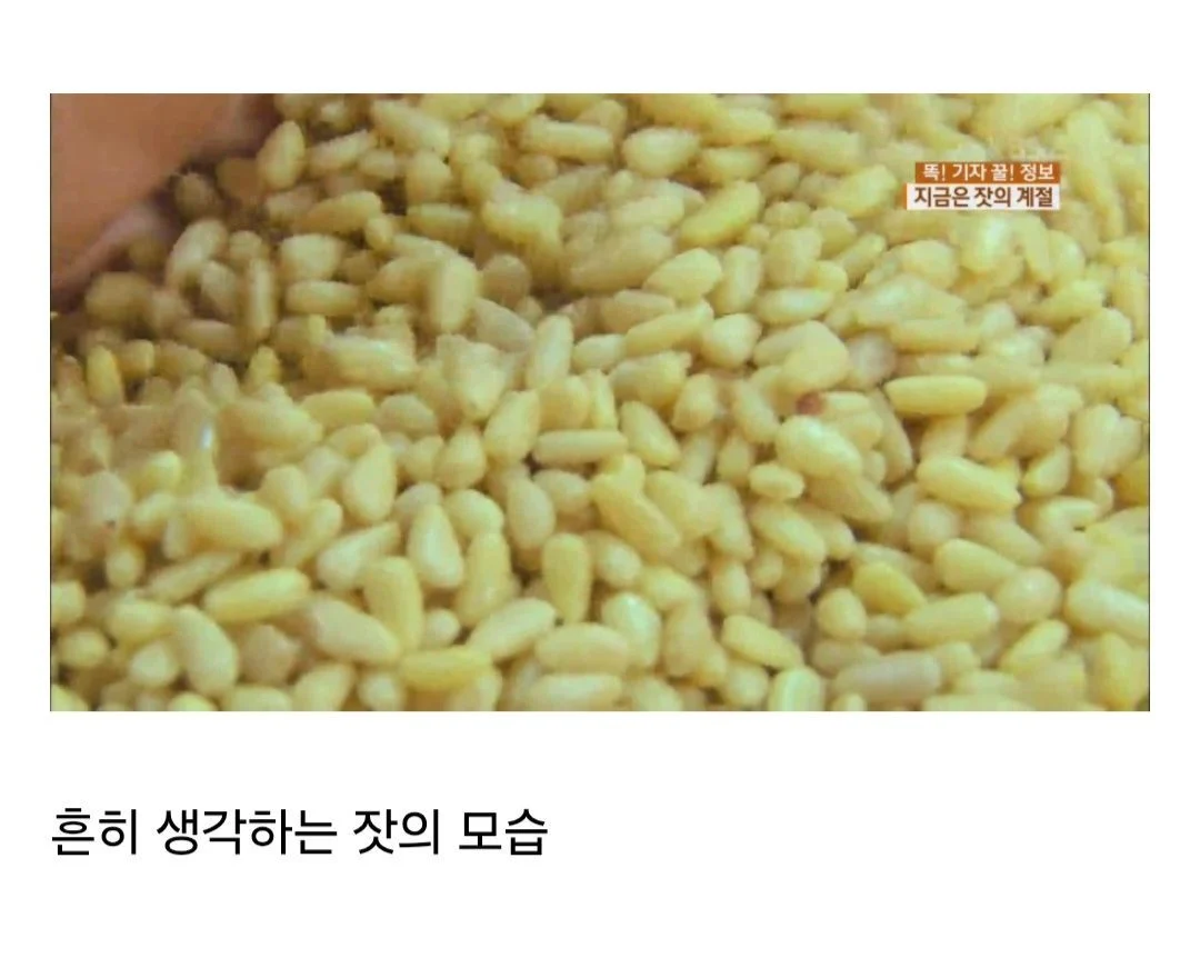 잣이 은근히 비싼 이유 | 인스티즈