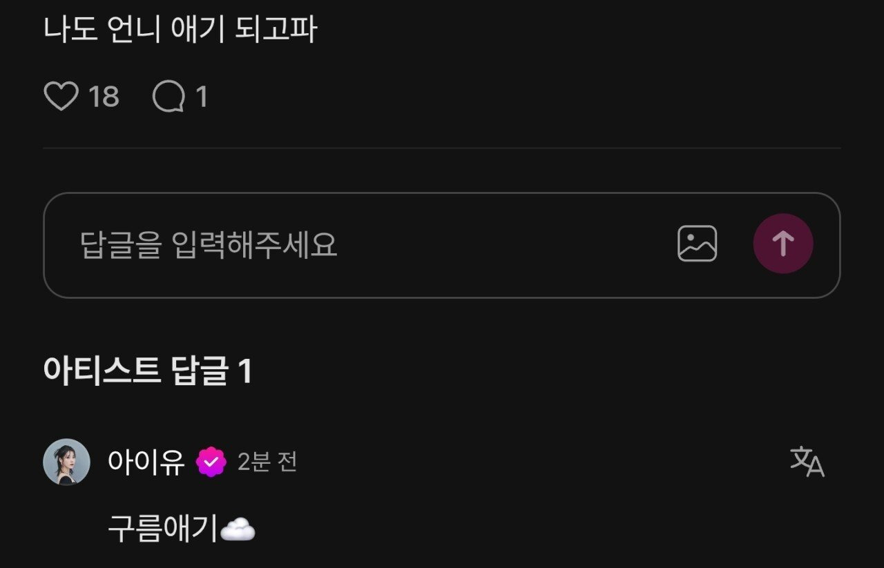 수능 응원 댓글 달다가 갑자기 개정색하는 아이유.jpg | 인스티즈