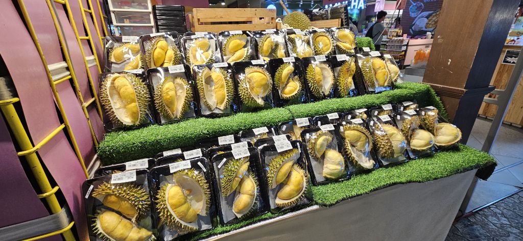 태국 방콕 1주일 느낀점 | 인스티즈