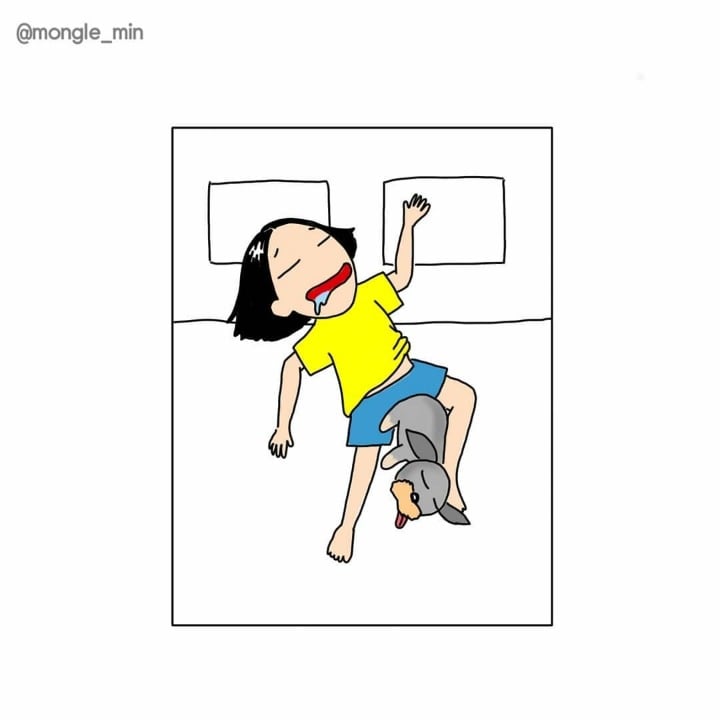 강아지랑 같이 잘 때 공감 | 인스티즈
