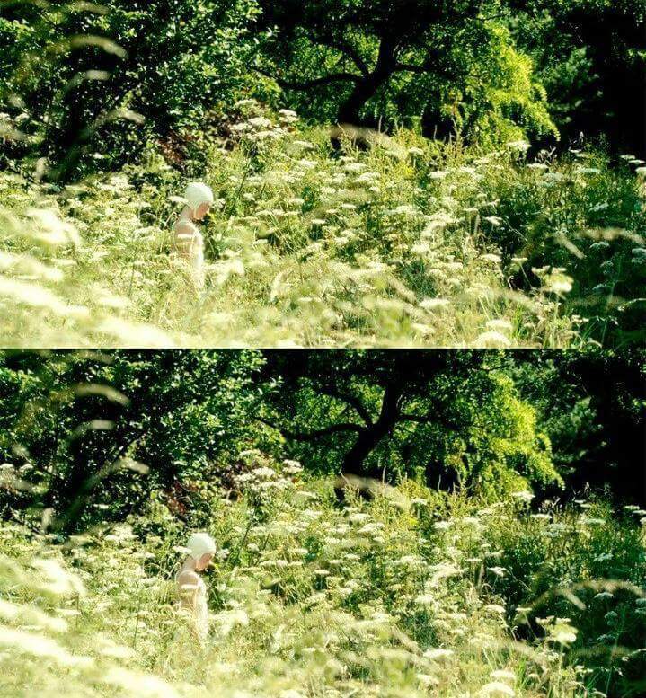 이젠 경상도사투리가 더 자연스러운 영화.jpg | 인스티즈