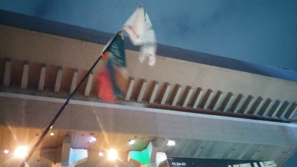 [직캠] 이 단체에 고맙습니다 | 인스티즈