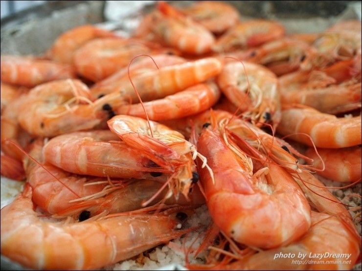 한국인은 잘 먹는데 다른 나라는 의외로 잘 안먹는 음식들 | 인스티즈