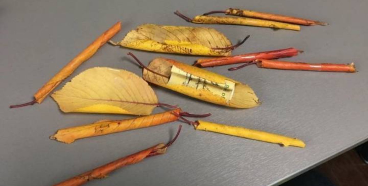 아빠의 빼빼로데이 선물.jpg | 인스티즈