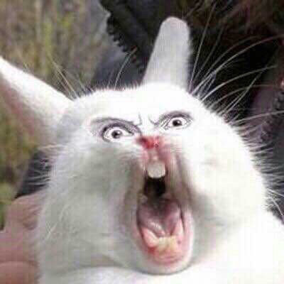 많은 사람들이 잘 모르는 듯한 전범기 쓴 만화가 | 인스티즈