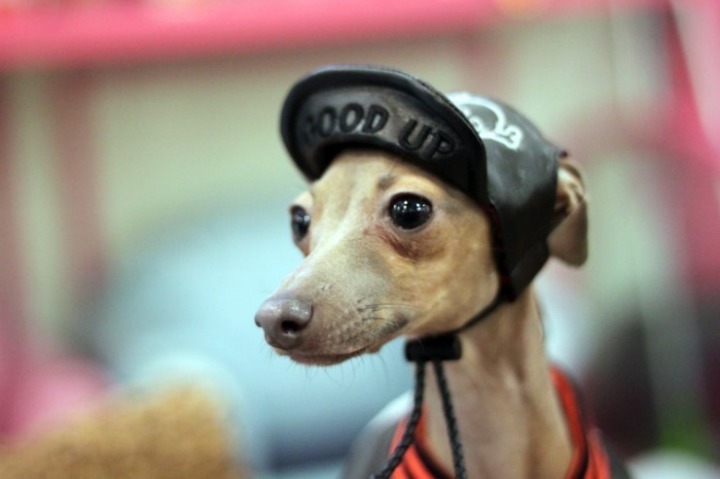 얼굴크기에 콤플렉스 있는 사람들 공감,, | 인스티즈