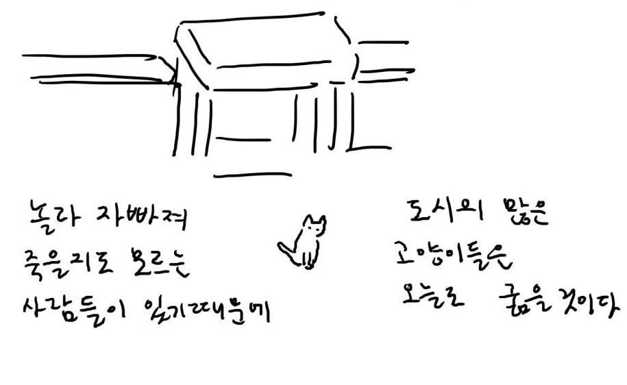 캣맘, 캣대디가 길고양이 먹이 주고 나면 생기는 일.jpg | 인스티즈