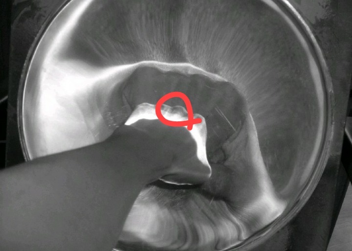 알아두면 괜찮은 호신술 2개 | 인스티즈