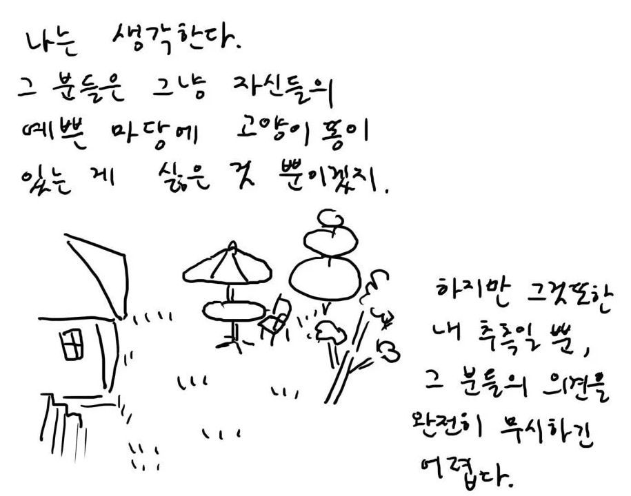 캣맘, 캣대디가 길고양이 먹이 주고 나면 생기는 일.jpg | 인스티즈