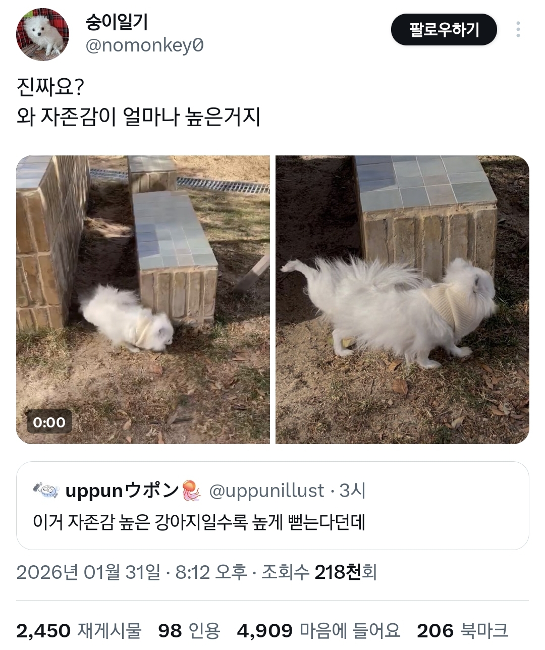 자존감이 얼마나 높은 건지 감도 안 오는 강아지.twt | 인스티즈